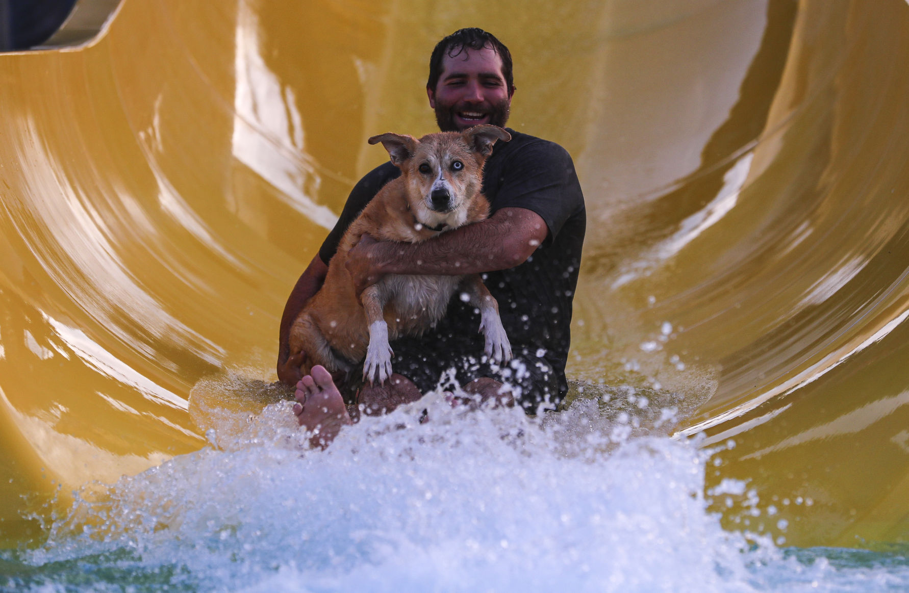 Doggie Dip 17